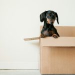 Tuinonderhoud eenvoudig maken: 5 praktische stappen